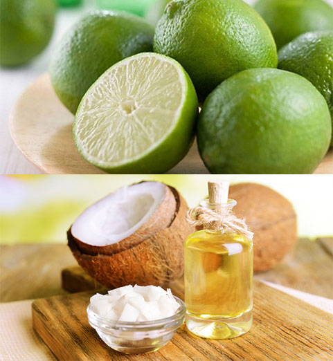 dau-dua-nuoc-cot-chanh