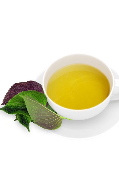 Tác dụng tuyệt vời của lá tía tô trong việc làm đẹp